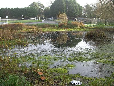 Friston Pond